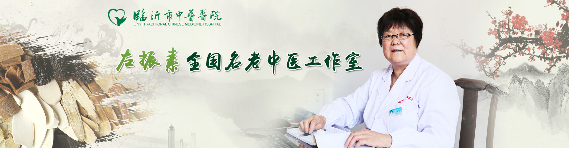 左振素全国名老中医传承工作室 左振素全国名老中医传承工作室